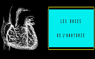 Bases de l'Anatomie (Les)